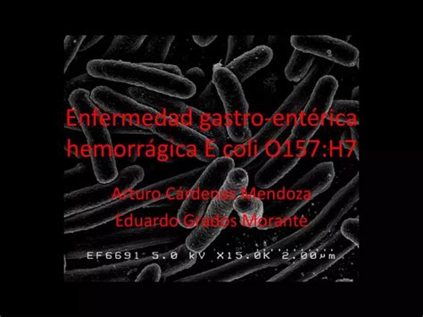 Ppt Enfermedad Gastro Entérica Hemorrágica E Coli O157 H7 Powerpoint Presentation Id 886683
