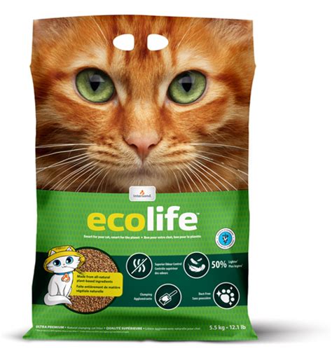 Bsb Introduces New Green Cat Litter Pet Business World