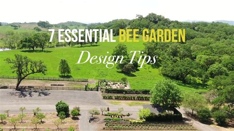 7 Essential Bee Garden Design Tips Advice From Jordan Winery Youtube