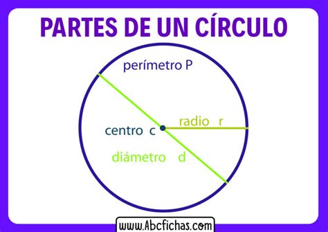 Elementos De Una Circunferencia Abc Fichas