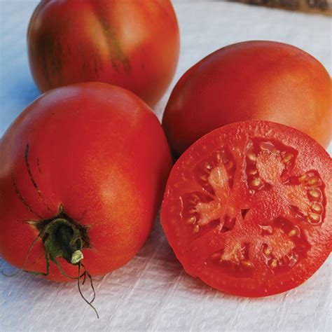 Comstock Sauce And Slice Tomato Heirloom Tomato Seeds Totally Tomatoes