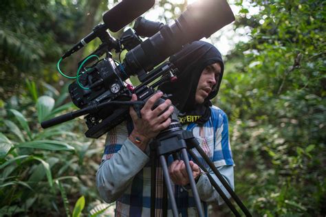 Filmmaking In Tropical Jungles Capturing Wildlife Wonders