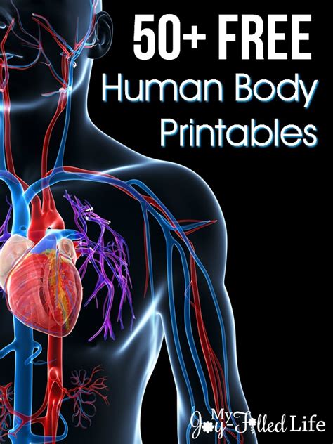 Free Human Body Printables