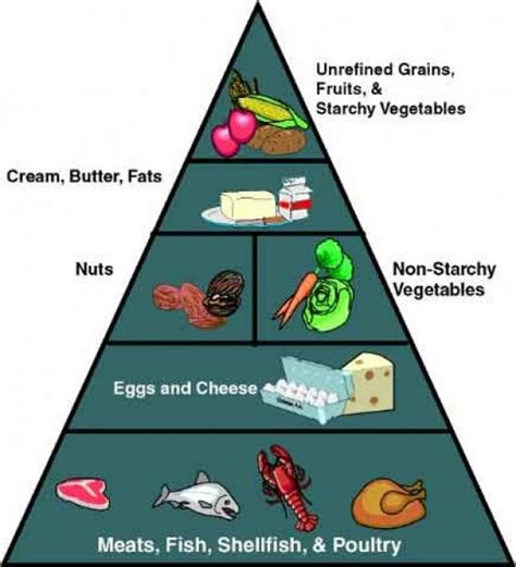 Buzzfeed Food Pyramid Paleo Food Pyramid Healthy Low Carb Recipes