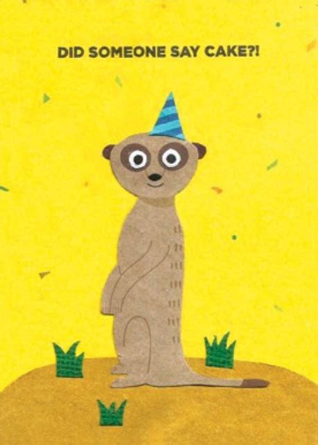 Meerkat Birthday Card — Kards Unlimited