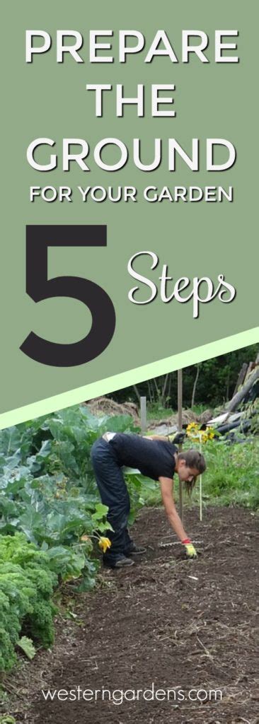 How To Prepare The Ground For Your Garden Western Garden Centers