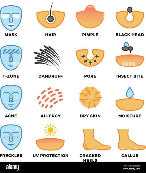 Skin Types Skin Care And Cosmetic Vector Icons Face Health Beauty