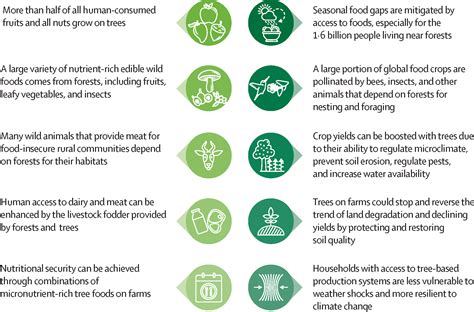 Transforming Food Systems With Trees And Forests The Lancet Planetary