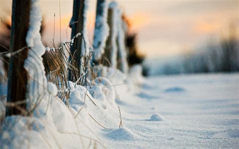 Fence Snow Winter Wallpaper 1680x1050 21411