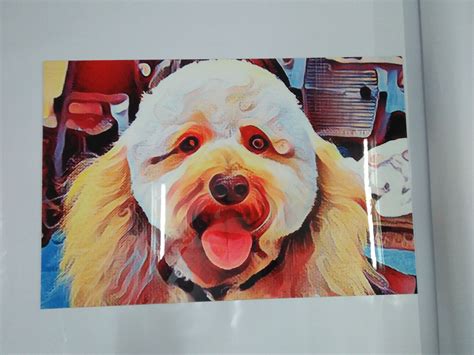 Pet Art Canvas | Dog canvas painting, Dog canvas, Canvas art