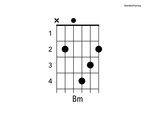 Bm Guitar Chord For Beginners