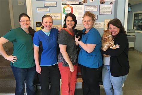 3 companion care agencies near 03561. Take a Tour - Companion Pet Care of Littleton