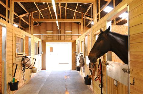 These Amazing Horse Barns Look Like 5 Star Hotels Horse Barns