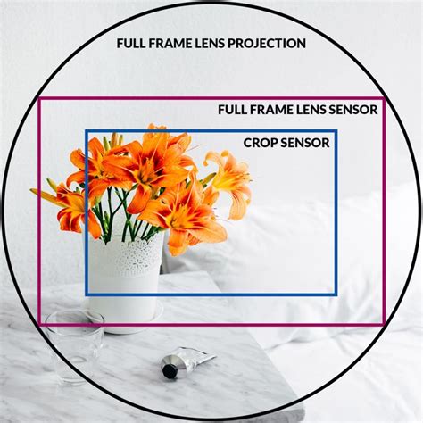 What Is Crop Factor How Does It Affect Photos