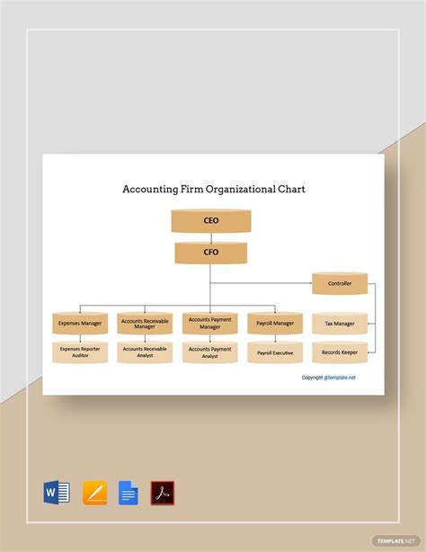 Sample Accounting Firm Organizational Chart Template In Word Pdf