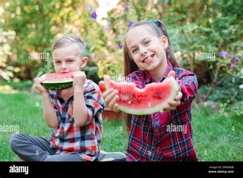 Happy Children Eating Watermelon In The Garden Kids Eat Fruit Outdoors