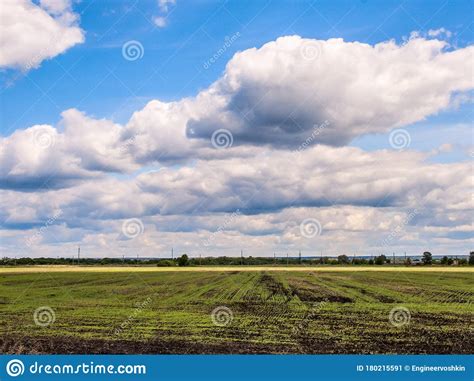 Meadow Forest Clouds Stock Image Image Of Plant Beauty 180215591