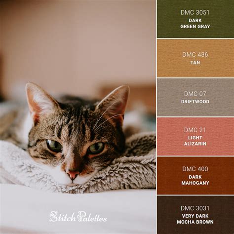 Green Eyed Cat Embroidery Color Palette With Thread Codes