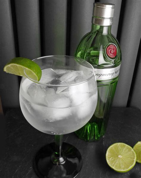 Best Gin And Tonic Ts 2024 Atonce
