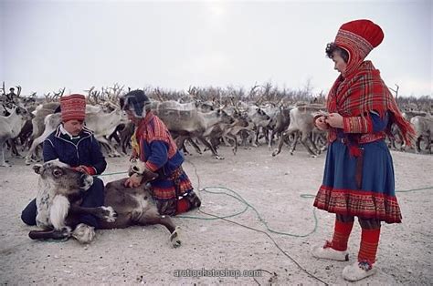 These Are Saami Nomadic Reindeer Herders Of Northern Scandinavia In