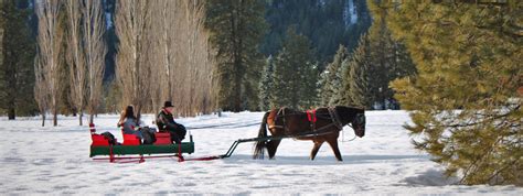 A Sleigh Ride Not Just For Christmas Anymore