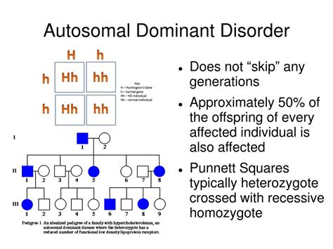 A punnett square for a monohybrid cross is divided into four squares, whereas a punnett square for a dihybrid cross is divided into 16 squares. PPT - Pedigrees & Genetic Analysis PowerPoint Presentation ...