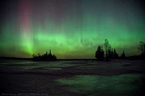 St Patricks Day 2015 Northern Lights Display Yr 2 Day 55 365