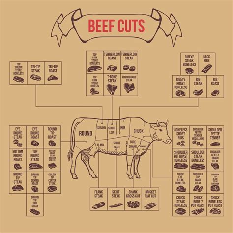 beef cuts on a cow a guide for home butchering
