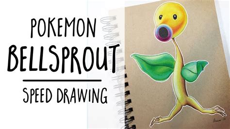 Bellsprout Pokémon Fan Art Speed Drawing Youtube
