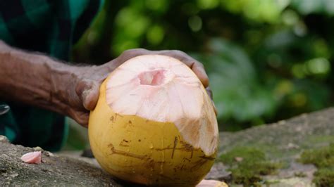 How To Open A Coconut 3 Simple Methods