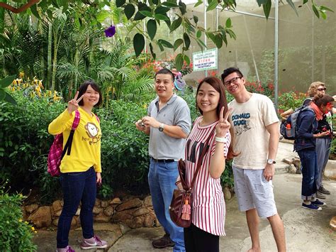 Cameron highland orchid and rose garden cameron square eq strawberry farm ee feng gu bee farm kea farm market boh's tea centre rose centre cameron secrets discover camerons time tunnel museum mossy forest eco. Trip To Cameron Highlands 2014 - Butterfly Farm | Just An ...