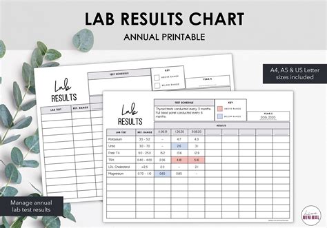 Medical Lab Test Results Chart Printable Chart To Monitor Etsy Canada