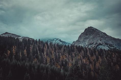 Trees And Mountains 4k Hd Nature 4k Wallpapers Images Backgrounds