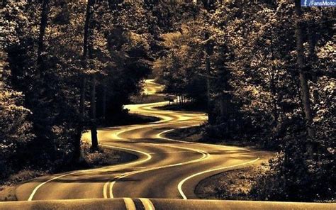 Pin By Cwraw Designs On Photography Beautiful Roads Forest Road Road