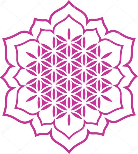 Flower Of Life Lotus Flower Symbol Healing And Harmony — Stock