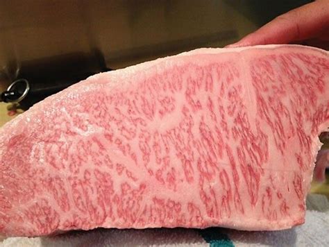 Premium japanese kobe wagyu at wholesale prices. World's Most Expensive Food: Japanese Wagyu Beef | Beef ...