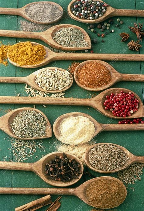 Assorted Spices Stock Image H1101598 Science Photo Library
