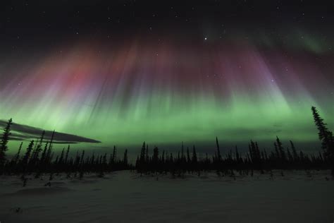 Get Mesmerized With The Northern Lights Of Alaska Found The World