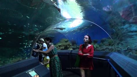 Aquarium Pattaya Underwater World Thailand 2013 Hd Youtube