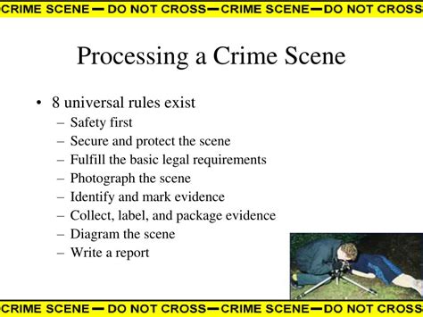 Ppt The Crime Scene Powerpoint Presentation Free Download Id359943
