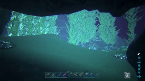 Ark Survival Evolved Island Underwater Pearl Cave Unraidable On No