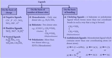 Classification Of Ligands Coordination Chemistry Chemistry Notes Edurev