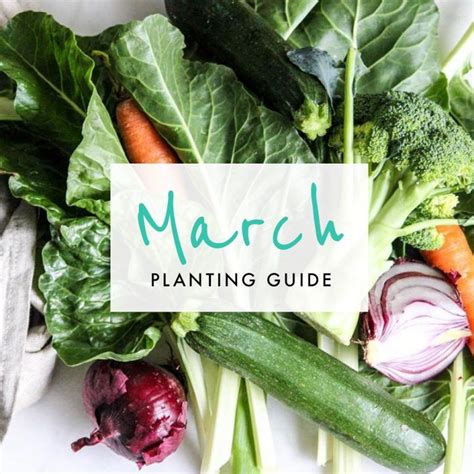 Your Supercharged Edible Garden The Healthy Patch Planting Guide