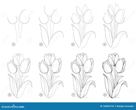 How To Draw Step Wise Beautiful Bouquet Of Tulip Flowers Creation Step
