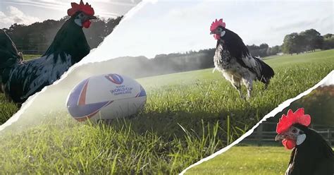 Marseille , la seule étoile de france. Tirage Au Sort Coupe Du Monde Rugby : Coupe Du Monde 2023 ...