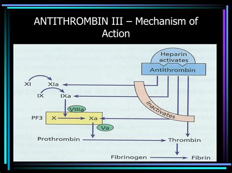 Heparin Mechanism Of Action Antithrombin Iii Deficiency Imagesee