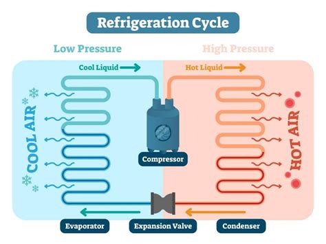 What Does The Compressor Do In The Refrigeration System