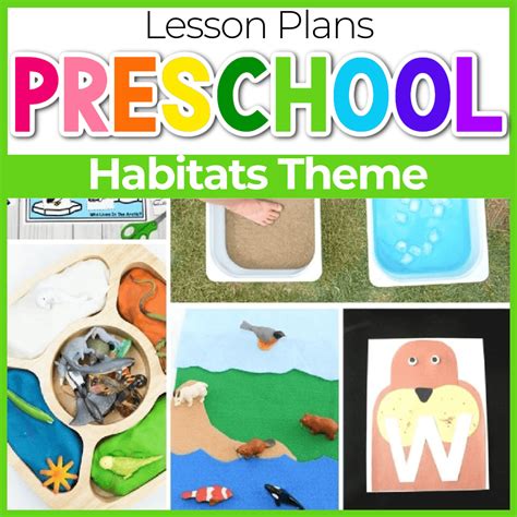 Animal Habitat Lesson Plans For Preschool Life Over Cs