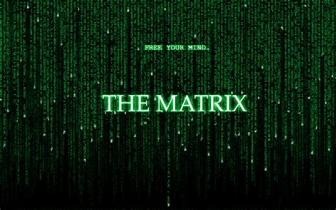 Set in the 22nd century, the matrix tells the story of a computer hacker who joins a group of underground insurgents fighting the vast and powerful. How the Matrix revealed reality