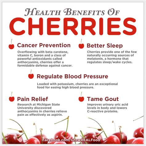 Health Benefits Of Cherries Cherries Healthy Organic Cherry